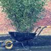 Product-Photography-Newcastle-Wheelbarrow