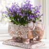 Product-Photography-North-East-Planter